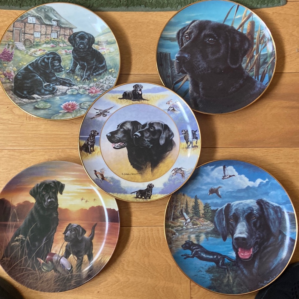Black lab collector plates
